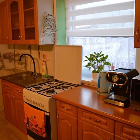 Pod Soszowem 別荘 ヴィスワ